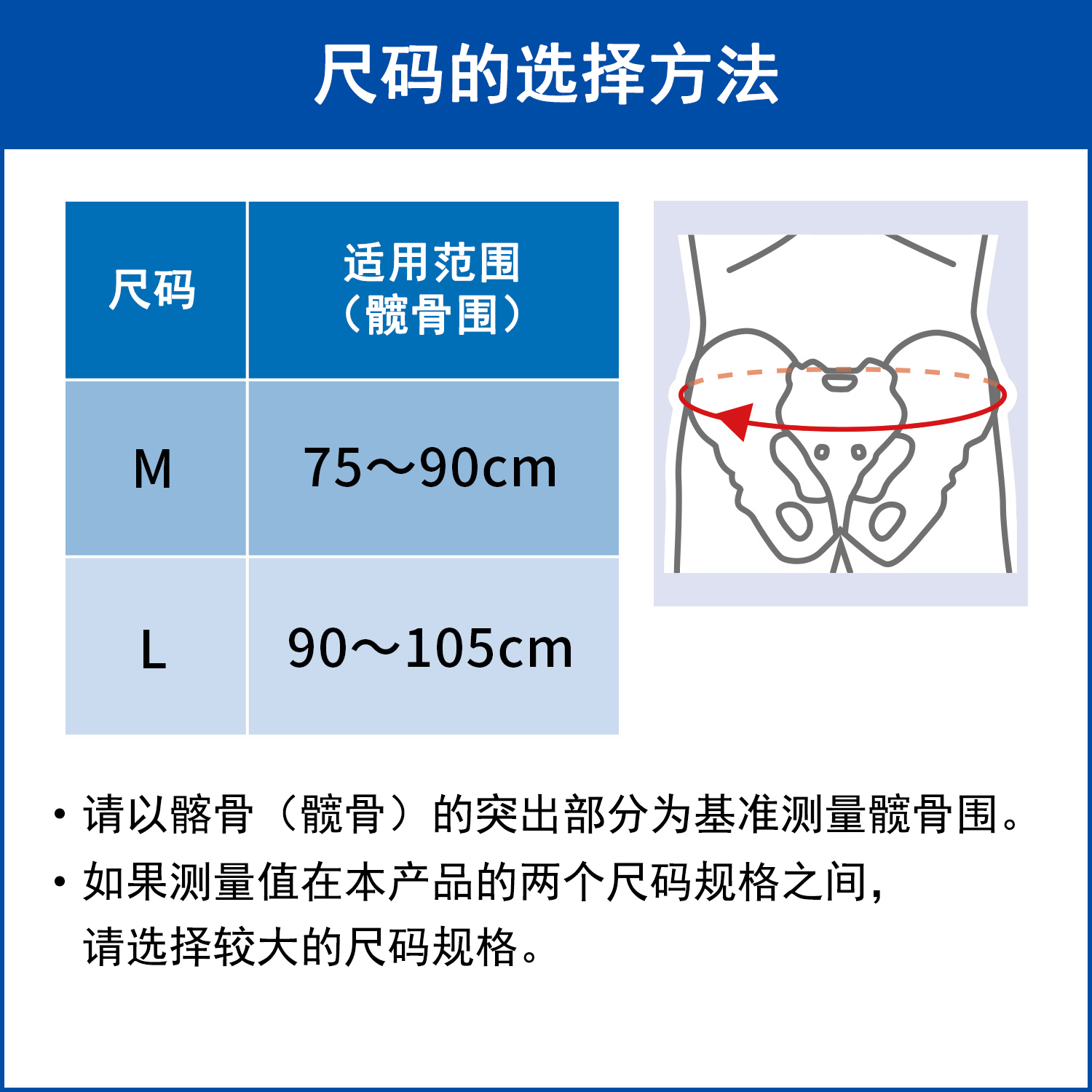 盆骨带